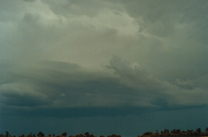 cumulonimbus supercell_thunderstorm : S of Condamine, Qld   22 November 1999