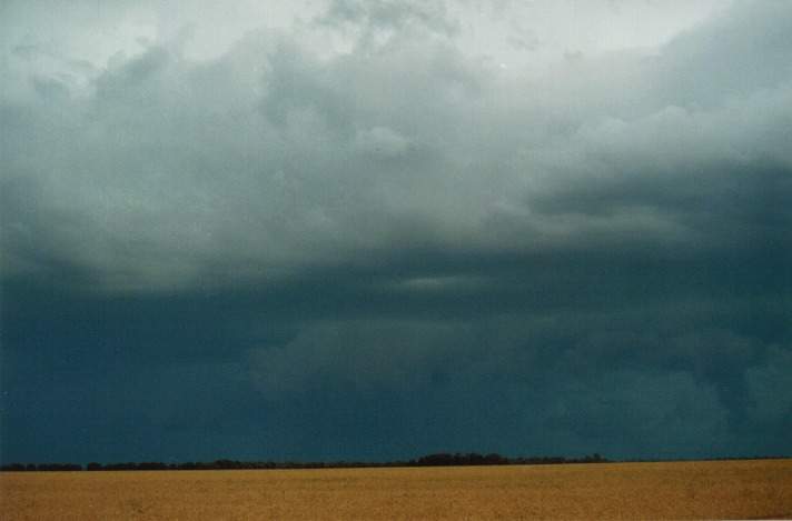 raincascade precipitation_cascade : S of Condamine, Qld   22 November 1999