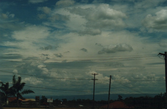 cumulus mediocris : Schofields, NSW   23 December 1999