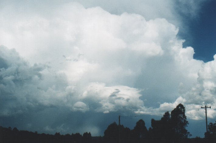thunderstorm cumulonimbus_incus : McLeans Ridges, NSW   5 January 2000