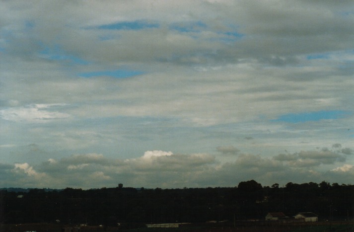 stratocumulus stratocumulus_cloud : Schofields, NSW   12 March 2000