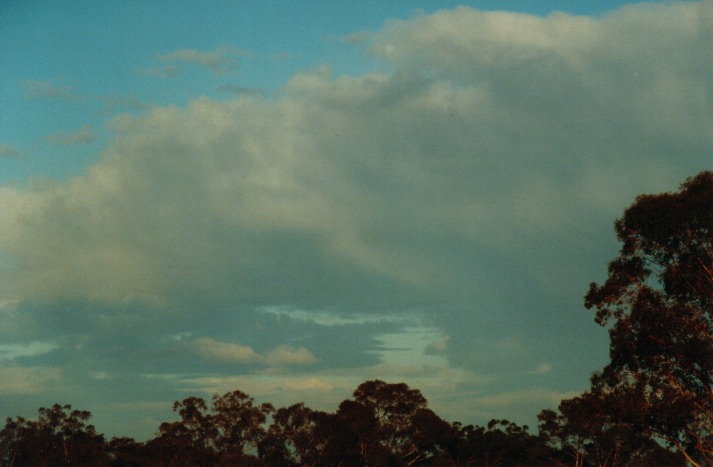 altocumulus altocumulus_cloud : Schofields, NSW   23 June 2000