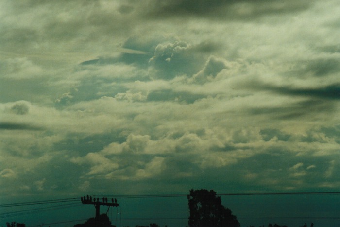 thunderstorm cumulonimbus_calvus : Gunnedah, NSW   10 July 2000