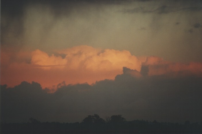 thunderstorm cumulonimbus_calvus : Schofields, NSW   16 August 2000