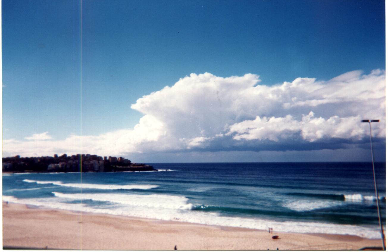 contributions received : Bondi, NSW<BR>Photo by James Pickett   16 August 2000