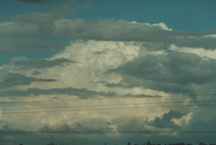 thunderstorm cumulonimbus_calvus : Muswellbrook, NSW   20 August 2000