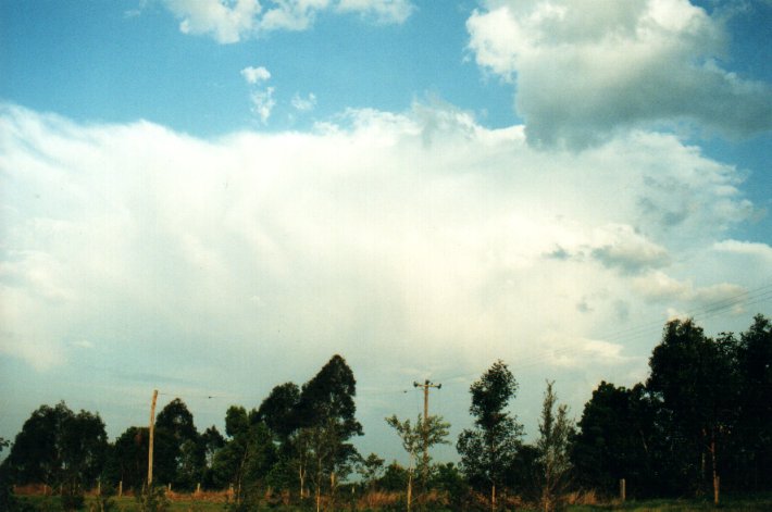 anvil thunderstorm_anvils : McLeans Ridges, NSW   27 September 2000