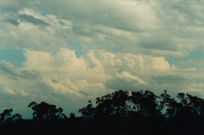 stratocumulus stratocumulus_cloud : Kemps Creek, NSW   19 October 2000