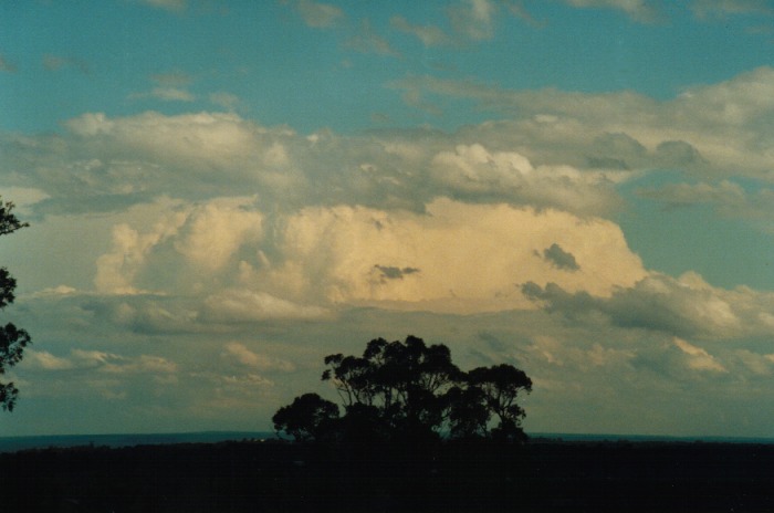 cumulus humilis : Kemps Creek, NSW   19 October 2000
