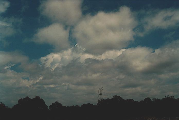 thunderstorm cumulonimbus_calvus : Colo Heights, NSW   3 November 2000