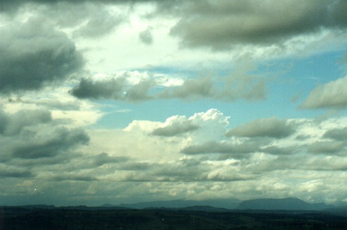thunderstorm cumulonimbus_calvus : McLeans Ridges, NSW   3 November 2000