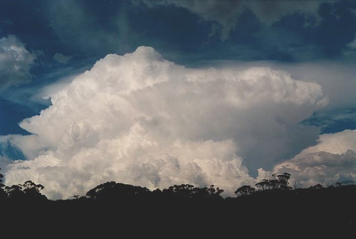 cumulonimbus supercell_thunderstorm : W of Grafton, NSW   4 November 2000