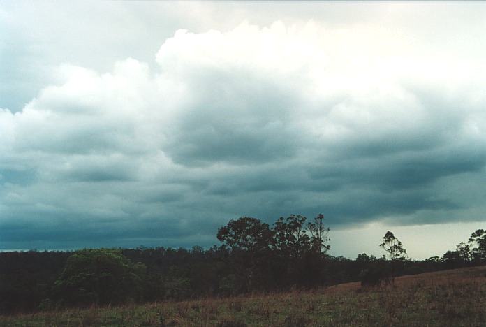 stratocumulus stratocumulus_cloud : W of Grafton, NSW   4 November 2000