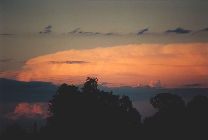 thunderstorm cumulonimbus_incus : Grafton, NSW   4 November 2000