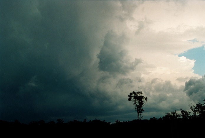 cumulonimbus thunderstorm_base : Coffs Harbour, NSW   5 November 2000