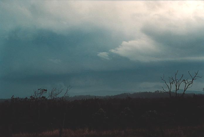 cumulonimbus thunderstorm_base : Corindi Beach, NSW   5 November 2000