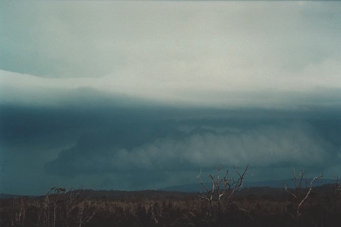 inflowband thunderstorm_inflow_band : Corindi Beach, NSW   5 November 2000