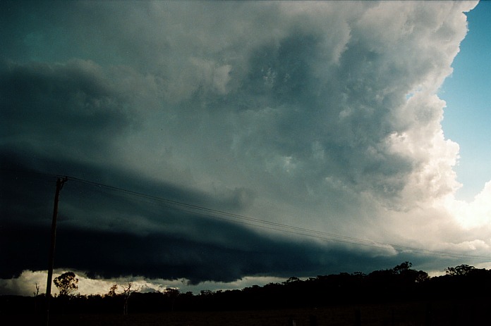 cumulonimbus supercell_thunderstorm : Corindi, NSW   5 November 2000