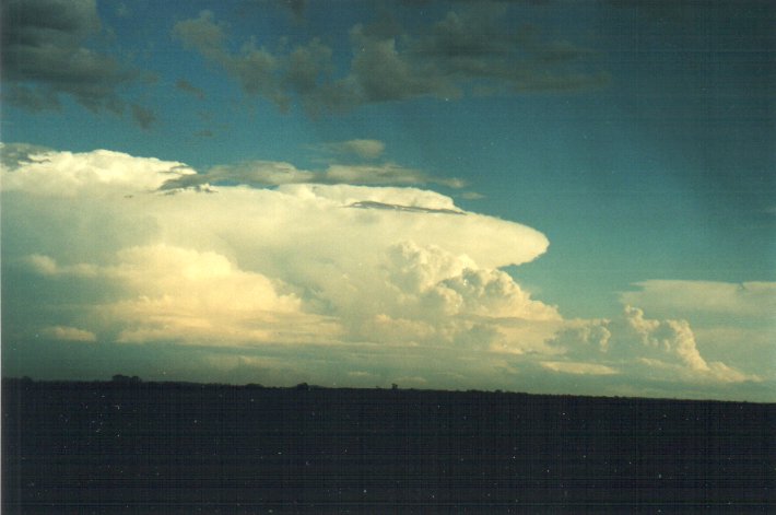 cumulonimbus supercell_thunderstorm : N of Casino, NSW   5 November 2000