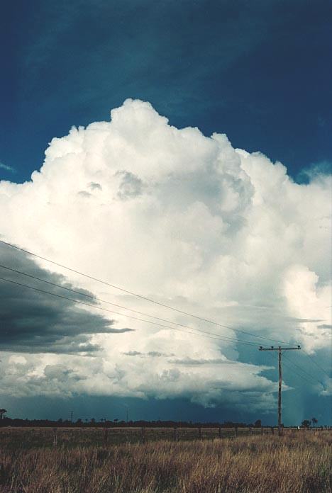 cumulonimbus supercell_thunderstorm : E of Roma, Qld   20 November 2000