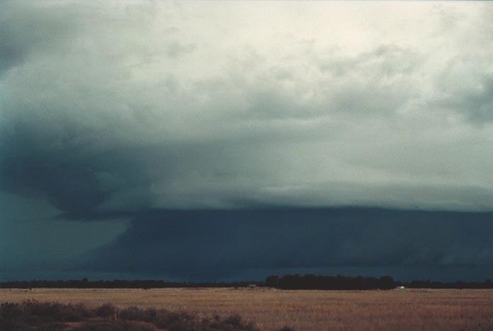 cumulonimbus thunderstorm_base : W of Chinchilla, Qld   20 November 2000