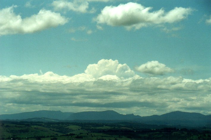cumulus congestus : McLeans Ridges, NSW   25 November 2000