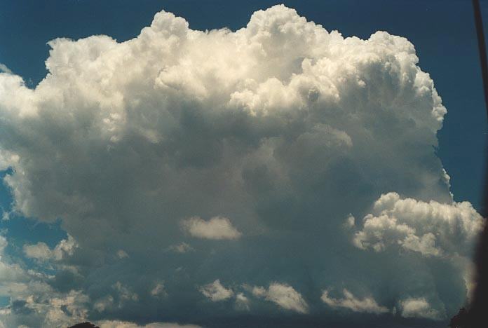thunderstorm cumulonimbus_calvus : W of Walcha NSW   7 December 2000