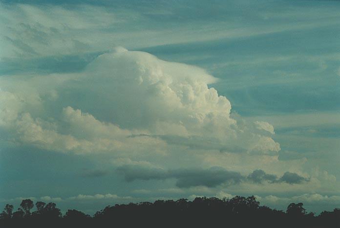 cumulonimbus supercell_thunderstorm : near Grafton, NSW   8 December 2000