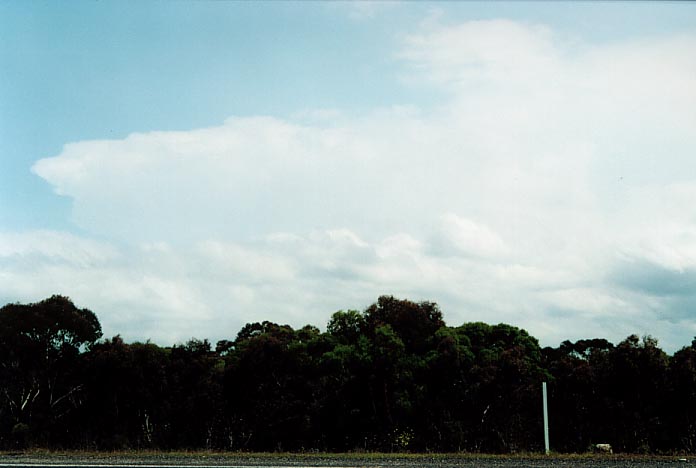 cumulonimbus supercell_thunderstorm : Lithgow, NSW   7 January 2001