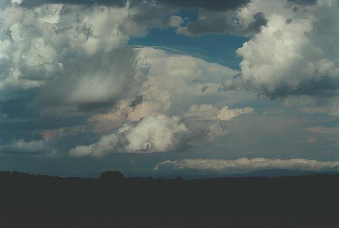 cumulonimbus supercell_thunderstorm : near Ebor, NSW   17 January 2001