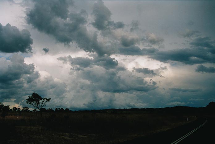 cumulonimbus supercell_thunderstorm : Wongwibinda, NSW   17 January 2001