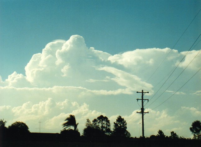 cumulonimbus supercell_thunderstorm : Parrots Nest, NSW   17 January 2001