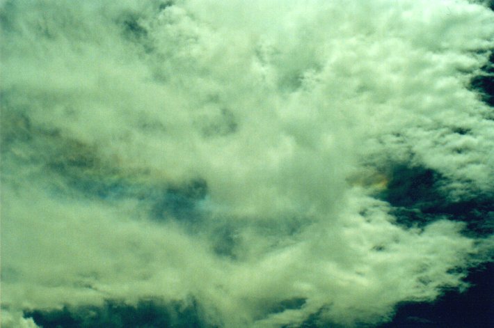 altocumulus altocumulus_cloud : McLeans Ridges, NSW   18 January 2001