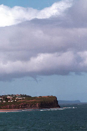 contributions received : Northern Beaches, NSW.<BR>Photo by Tim Pascoe   19 January 2001