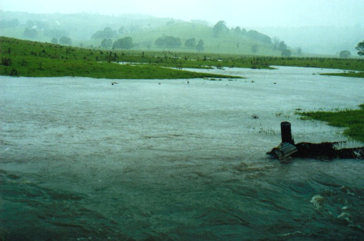 flashflooding flood_pictures : Eltham, NSW   1 February 2001