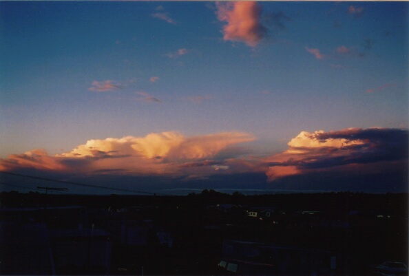 contributions received : Western Sydney, NSW<BR>Photo by Mario Orazem   28 February 2001