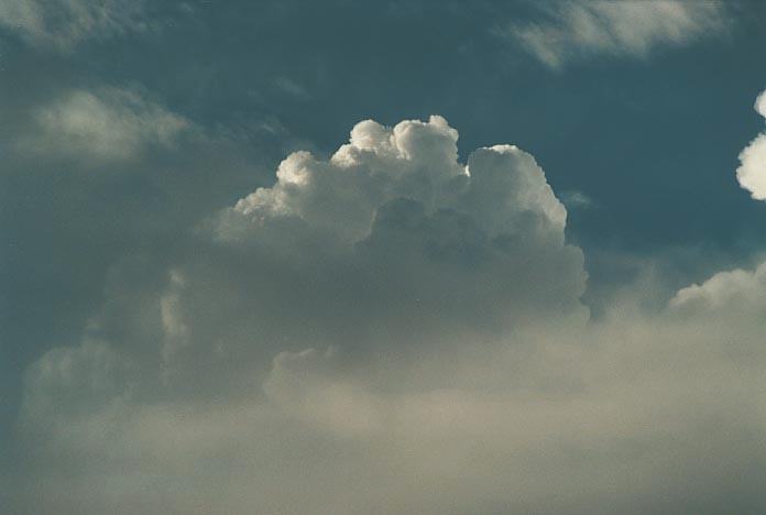 updraft thunderstorm_updrafts : Rooty Hill, NSW   2 March 2001