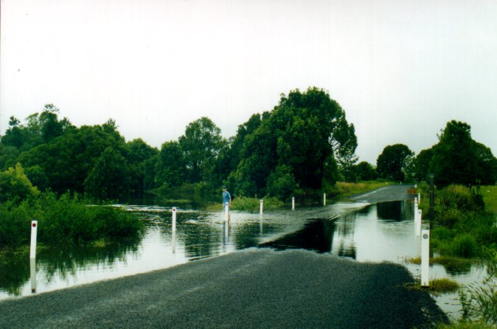 flashflooding flood_pictures : Eltham, NSW   10 March 2001