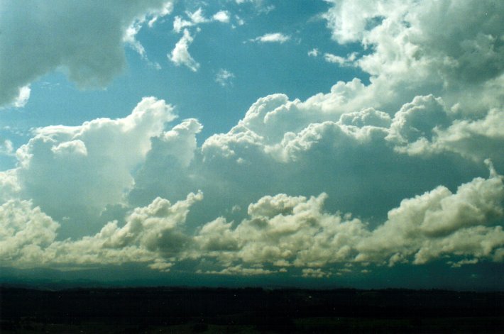 cumulus humilis : McLeans Ridges, NSW   26 April 2001