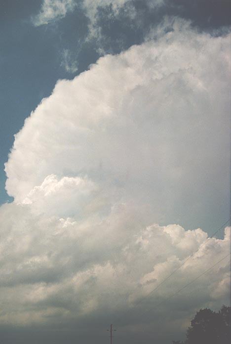 cumulonimbus supercell_thunderstorm : N of Konowa, Oklahoma, USA   20 May 2001