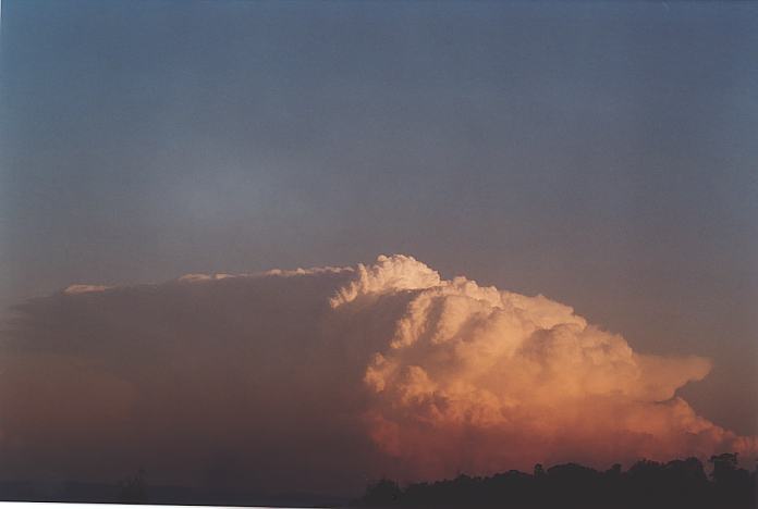 contributions received : near Jerrys Plains, NSW<BR>Photo by Geoff Thurtell   1 September 2001