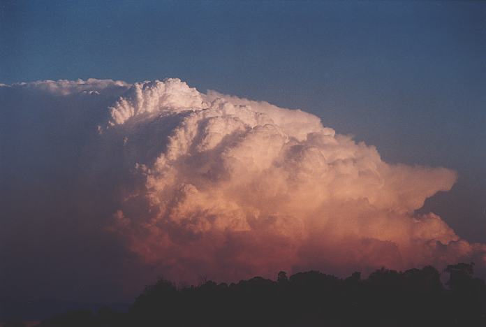cumulonimbus supercell_thunderstorm : Jerrys Plains, NSW   1 September 2001