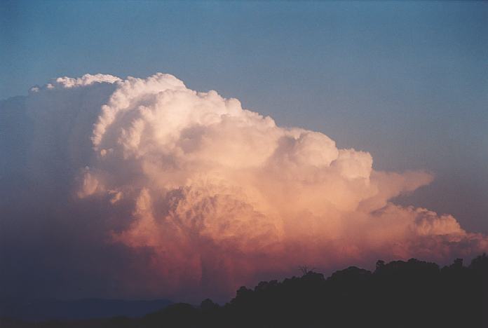 thunderstorm cumulonimbus_incus : Jerrys Plains, NSW   1 September 2001