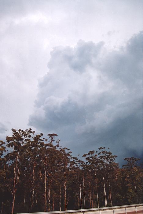 updraft thunderstorm_updrafts : N of Bulahdelah, NSW   3 October 2001