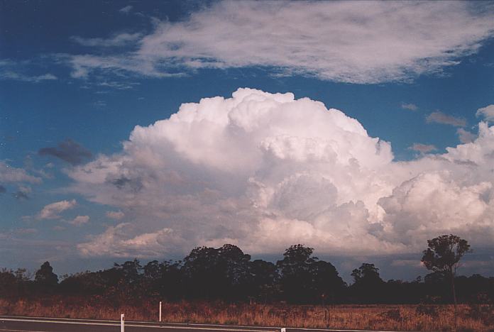 cumulonimbus supercell_thunderstorm : Nabiac, NSW   3 October 2001