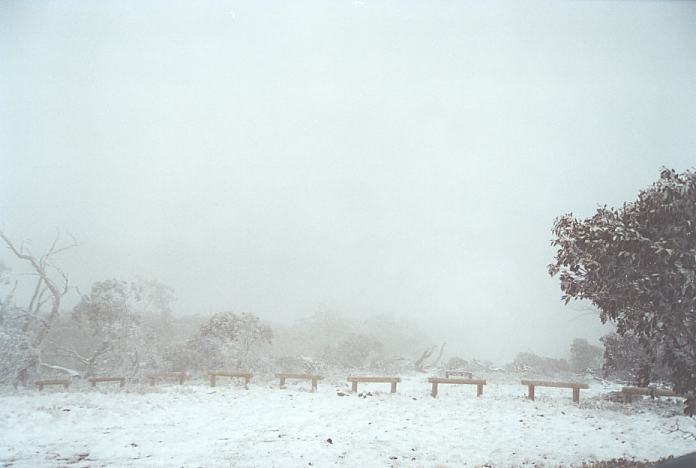 contributions received : Brindabella Ranges, NSW<BR>Photo by Geoff Thurtell   7 October 2001