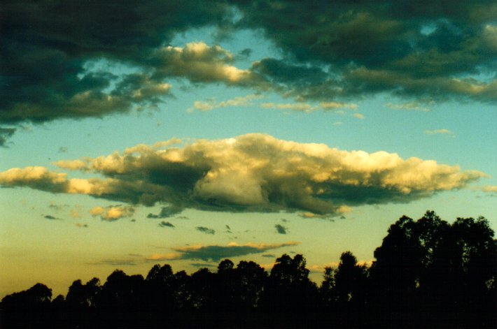 cumulus humilis : McLeans Ridges, NSW   18 October 2001