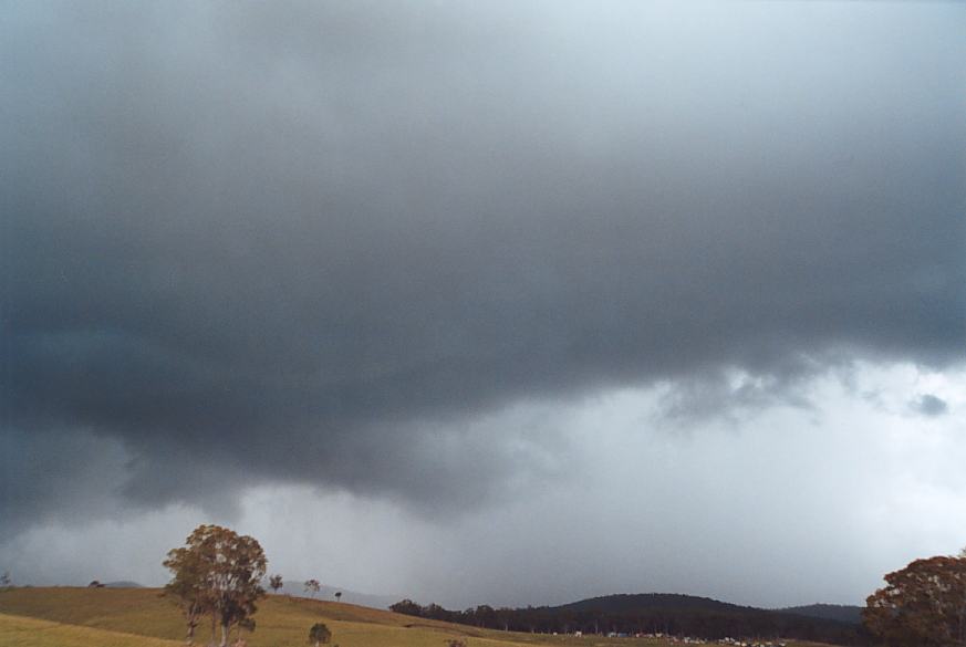 contributions received : Booral, NSW<BR>Photo by Geoff Thurtell   11 November 2001