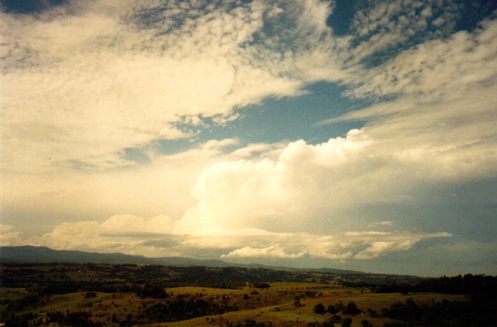 thunderstorm cumulonimbus_incus : McLeans Ridges, NSW   11 November 2001