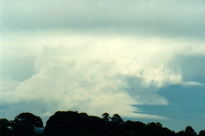 updraft thunderstorm_updrafts : McLeans Ridges, NSW   11 November 2001